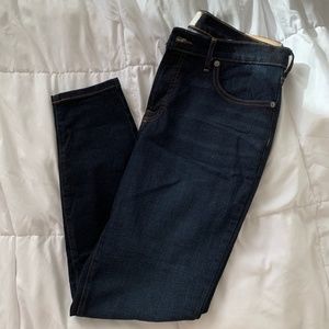 Everlane The Authentic Stretch Mid-Rise Skinny